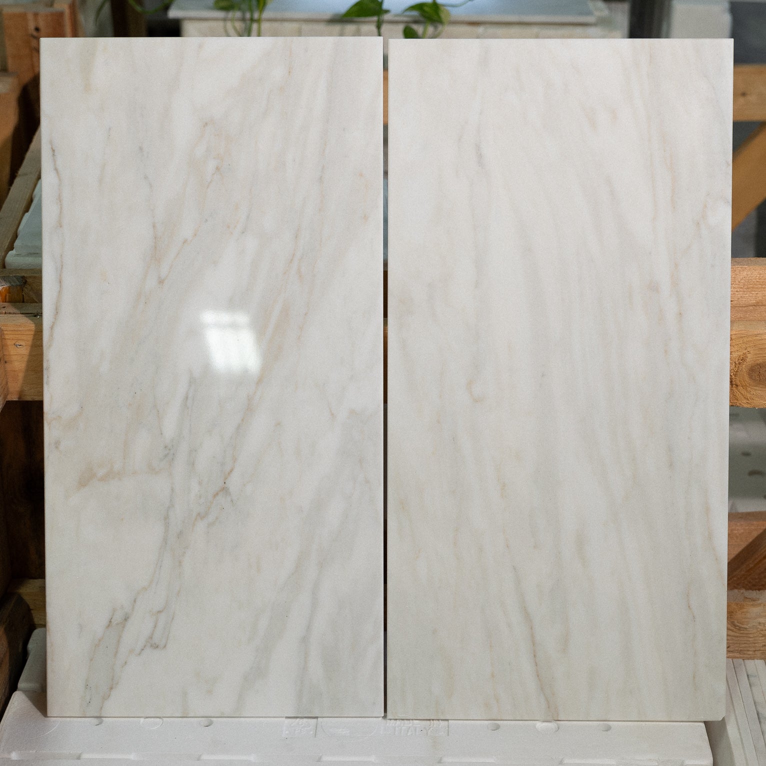 Calacatta Linear V1 12"x24" Polished