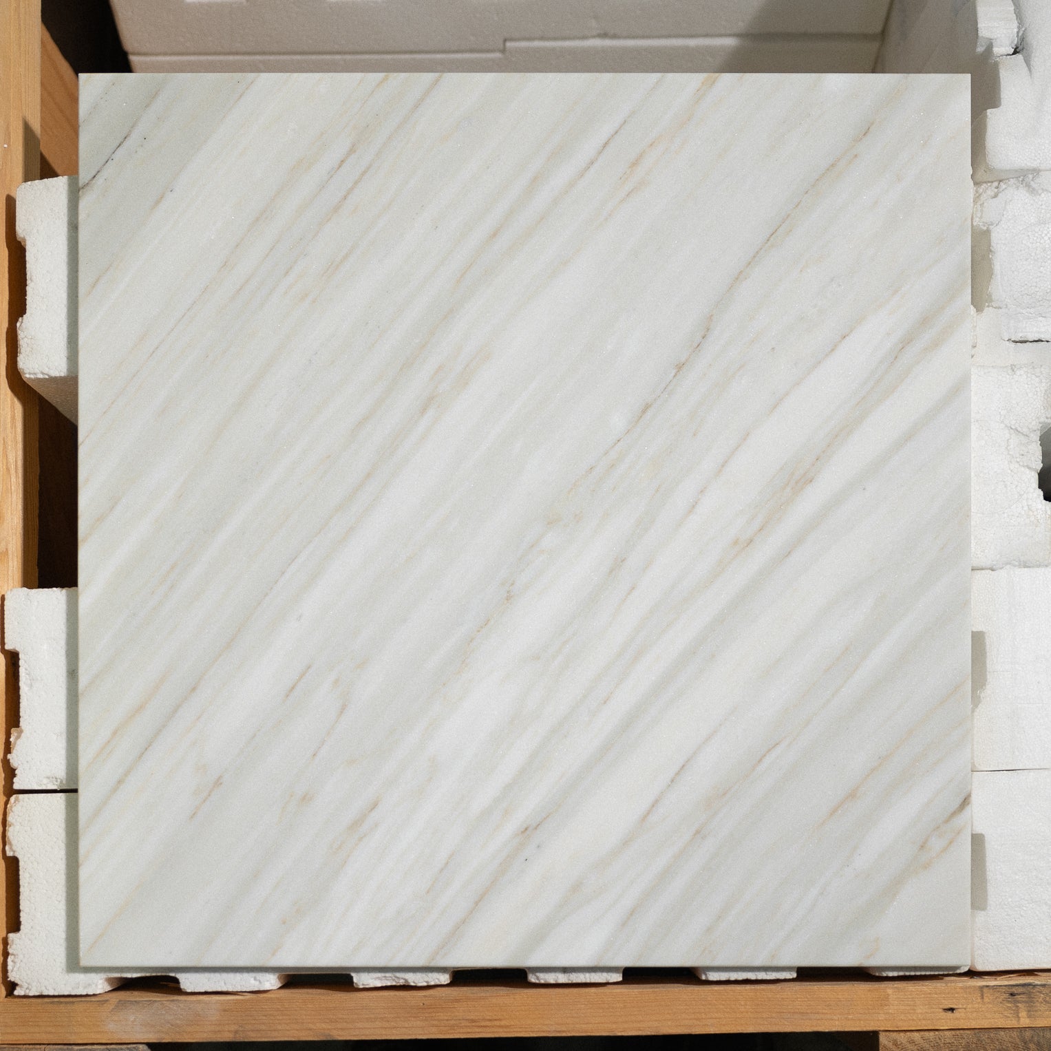 Calacatta Linear 18"x18" Honed