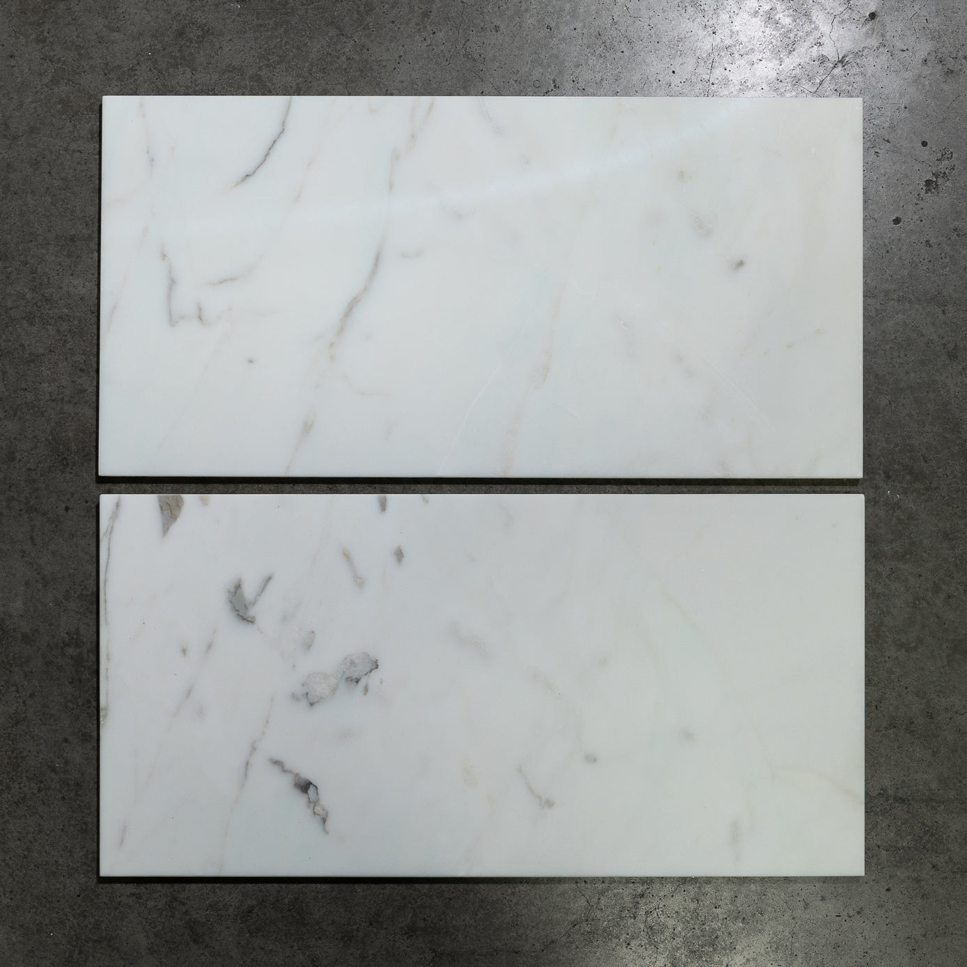 Calacatta Verde V2 12"x24"