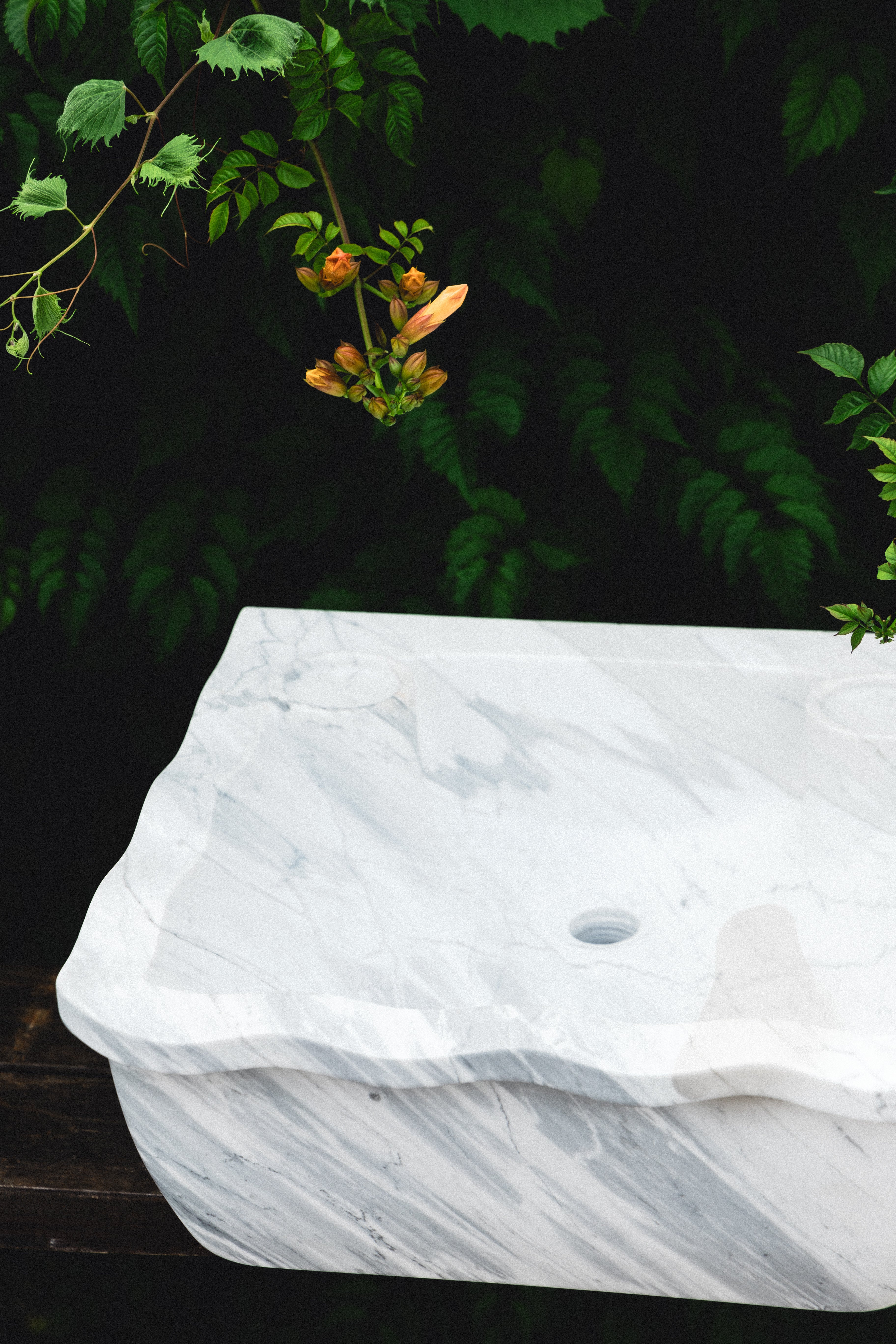 Statuary Seashell sinks