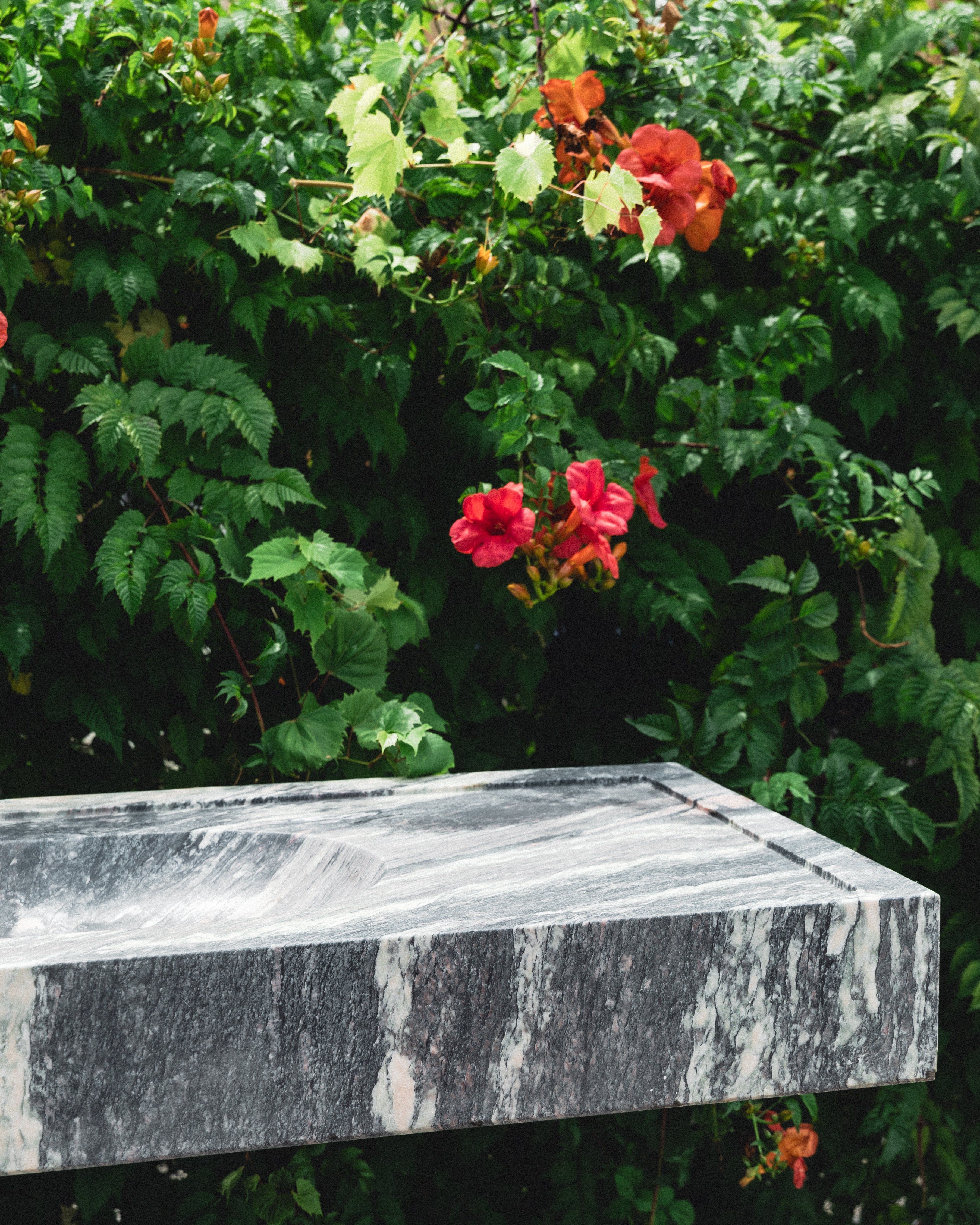 Cipollino Marble Tiles