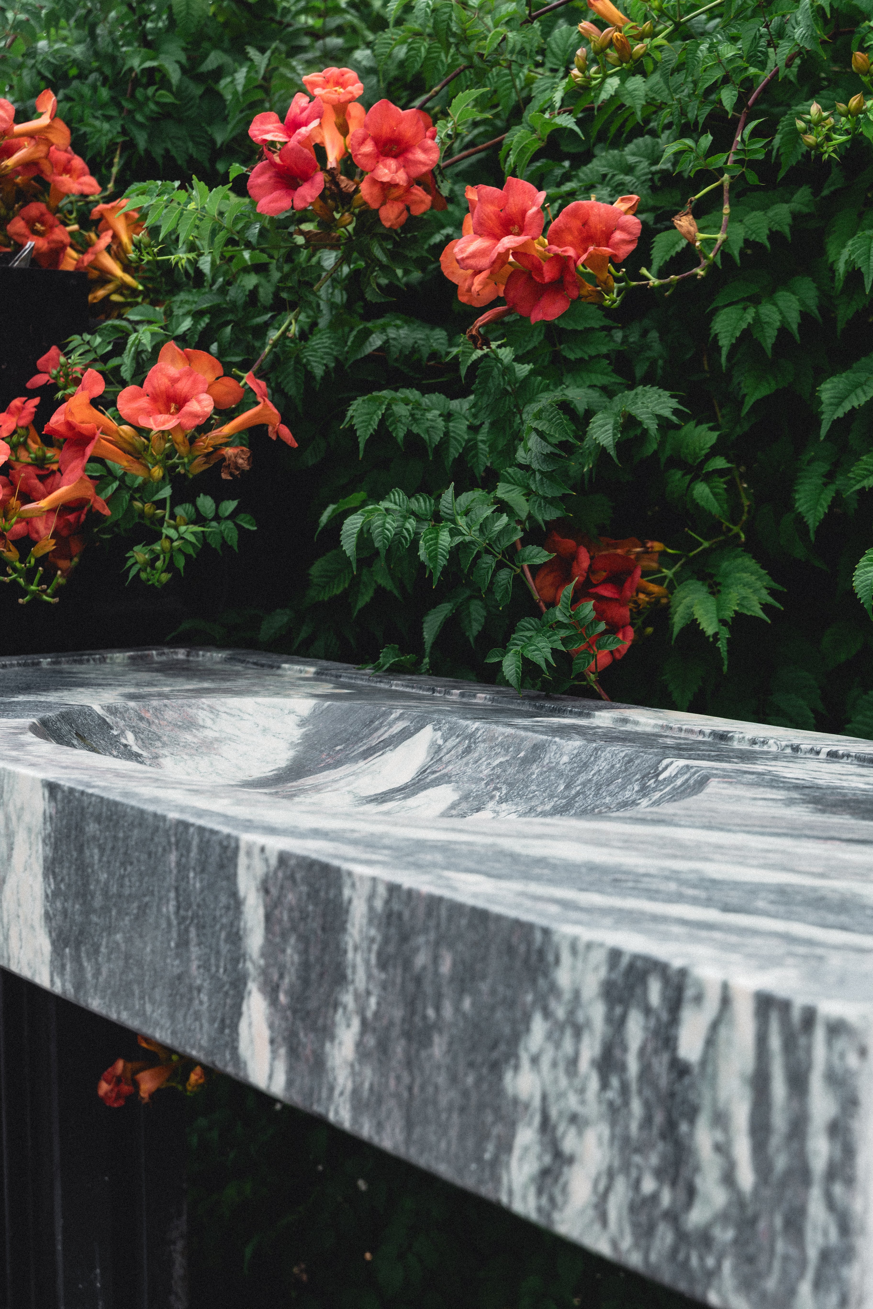 Cipollino Ondulato slabs