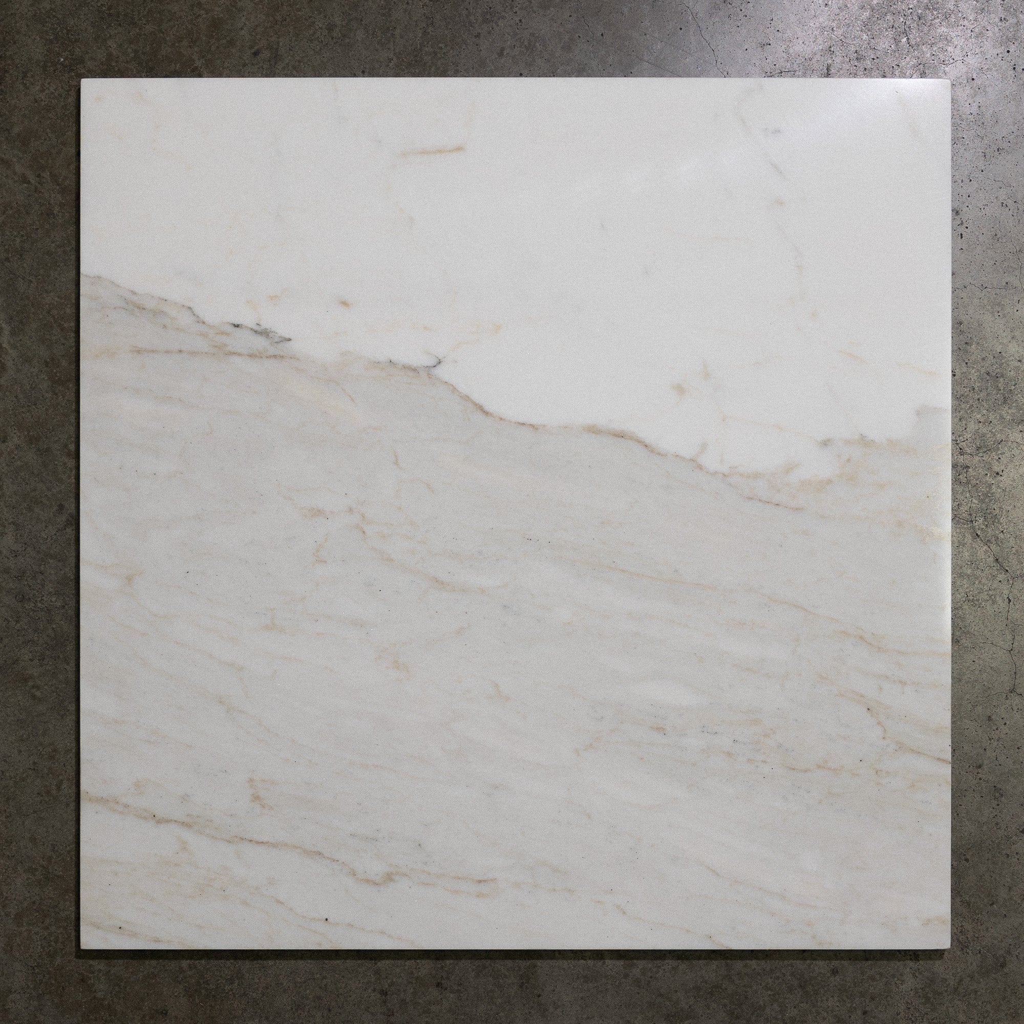 Calacatta Verde 24"x24"