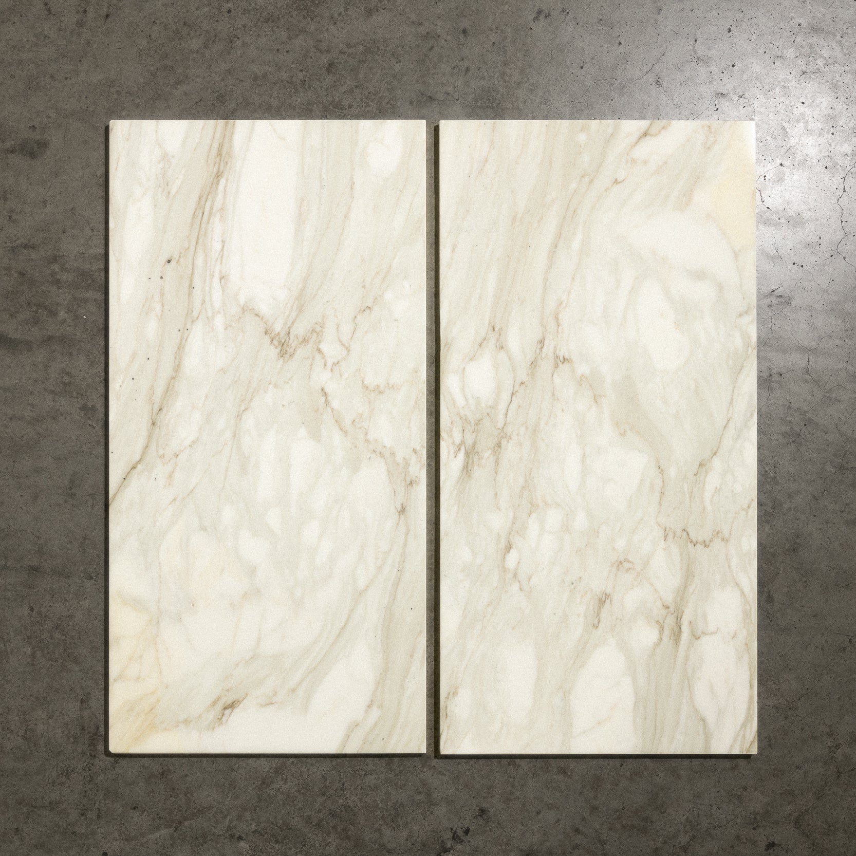 Calacatta Vagli 12"x24"