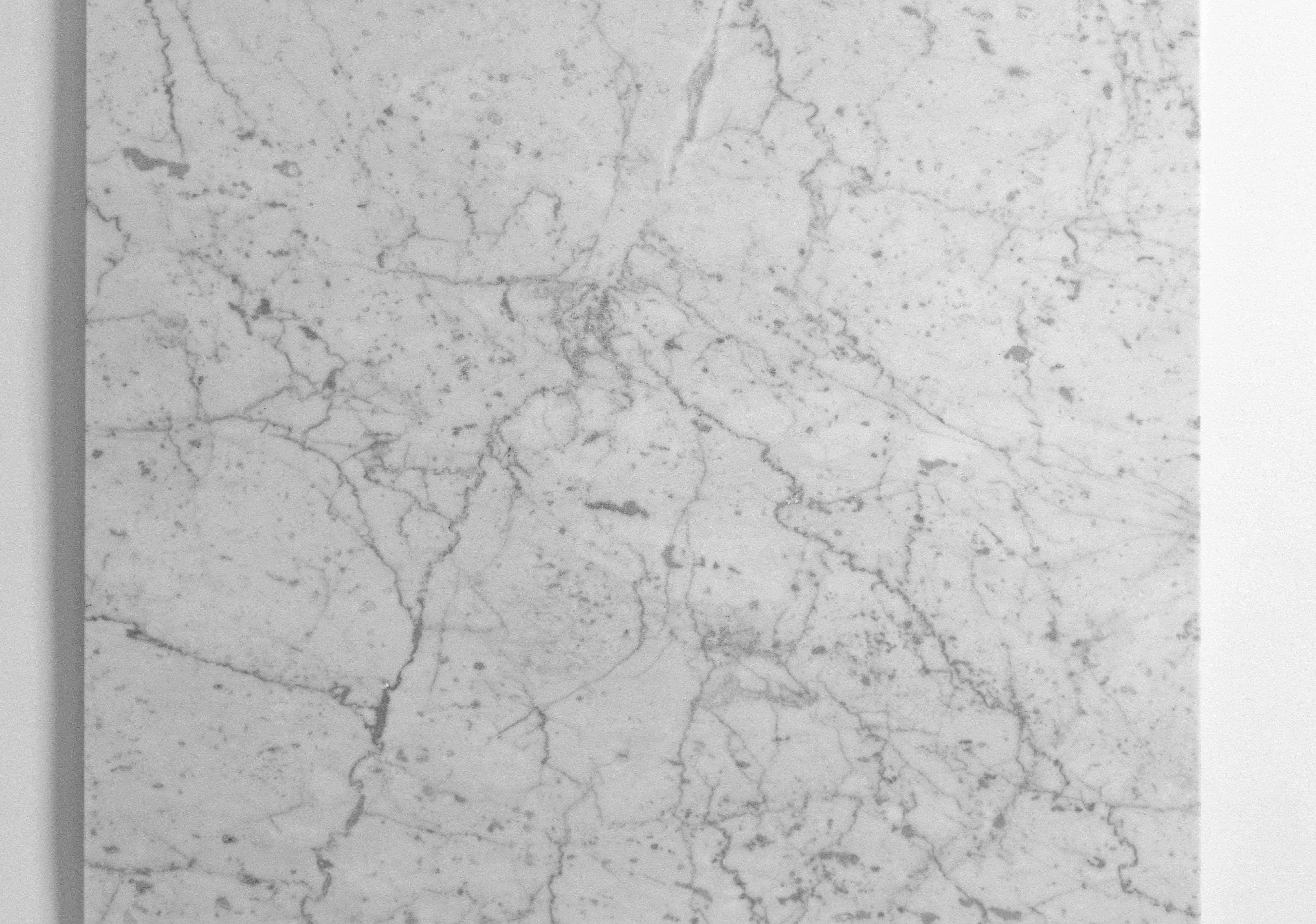 Carrara 18x18 - Castelli Marble