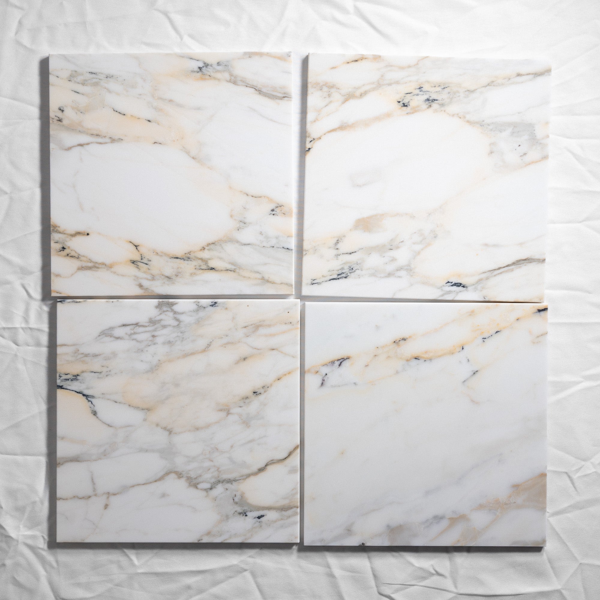 Calacatta Paonazzo 12"x12"