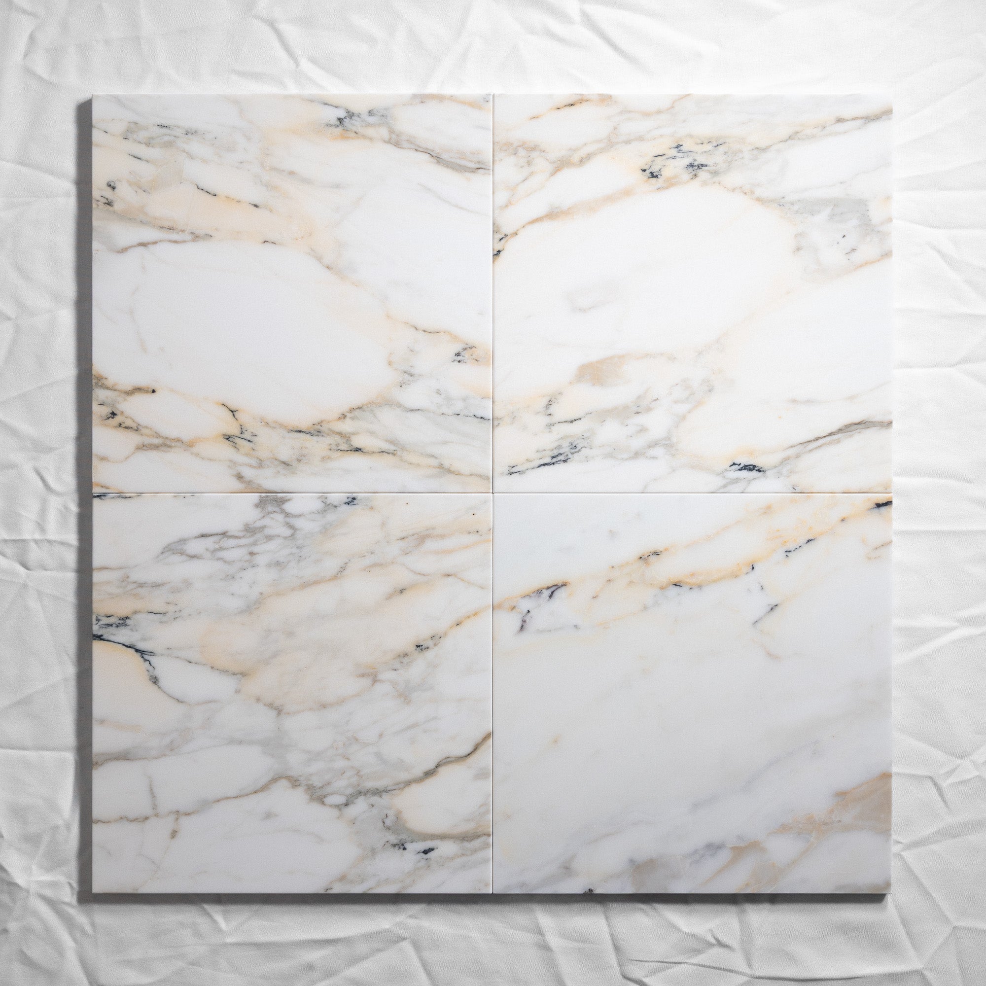 Calacatta Paonazzo 12"x12"