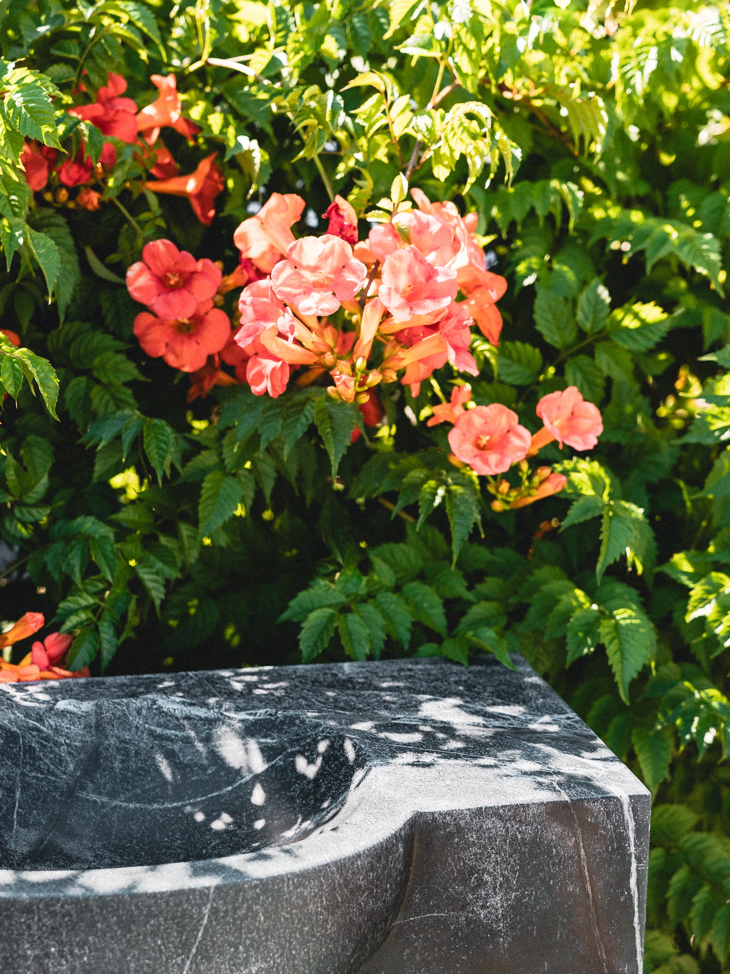 Soapstone Athena 30"