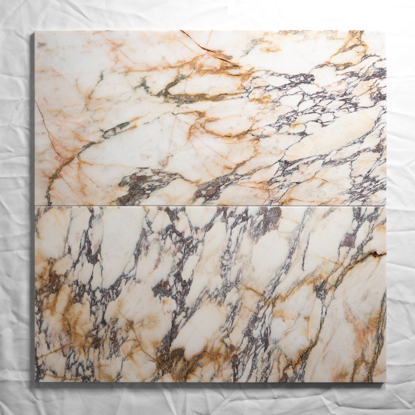 Calacatta Viola 12"x24"