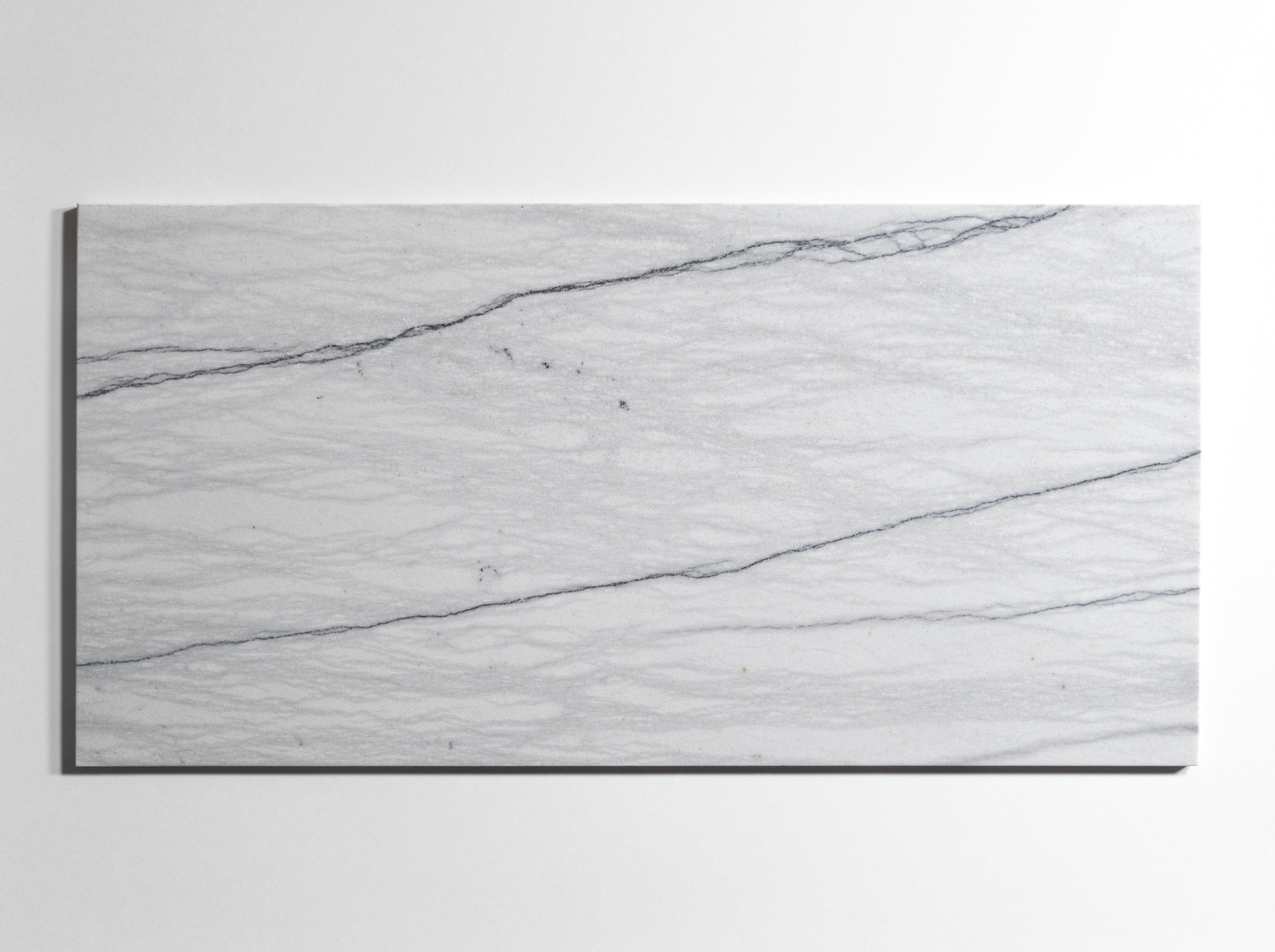 Silver Mist Marble 12"x24"