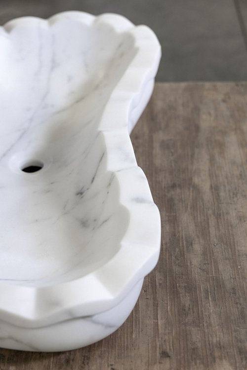 Statuary Seashell - Castelli Marble